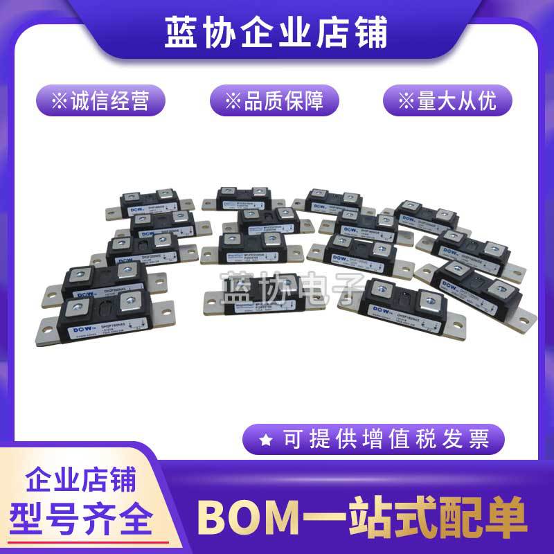 DH2F100N6S DH2F100N6SE原装大卫功率 模块正品 二极管模块