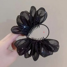 ̖^ץA~AӰllŮ߼кXSl