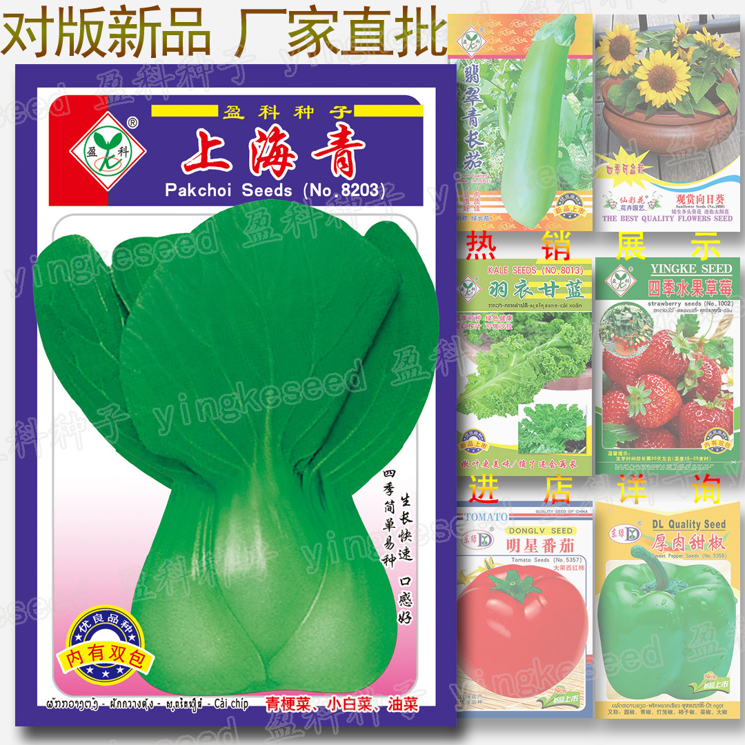 蔬菜种子公司四季易种地摊菜种花卉种子批发-上海青 小白菜种子