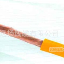 �h�P���| ���� 60227IEC06(RV) �Դ�� �S��ֱ�N Ʒ�|���C