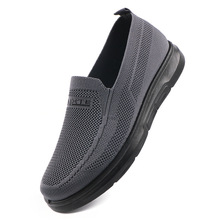 �Ό��w��2025�����¿��ϱ�����Ь��Ь��������ʿ���m���eЬ͸��