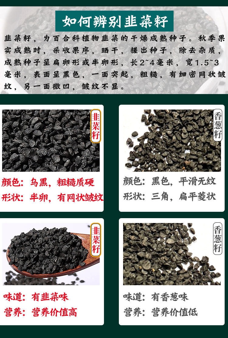 Chinese Chive Seed Tea Jiu Cai Zi Wild Leek Seeds Dried Herbal Seeds for Tea Wine Infusion 500g key features