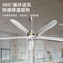 ʯƵȼ䁿͏dP56oȼ~CоLL