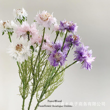 仿真新娘波斯菊 矢车菊 轮丰菊 高档假花 旅拍道具挂墙花艺设计