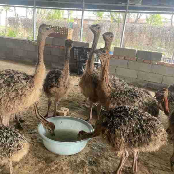 43d6963c506ad840729418ddd18e07