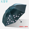 Paradise Umbrella Genuine 3308E Flash Silver Fresh Wind Vinyl A UV Anti -Umbrella Umbrella Umbrella Umbrella Umbrella Umbrella Umbrella was three % off and rainy can be printed