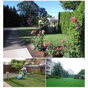 ���òݷN�ӵͰ��Ͳ�ƺ�� ���`̤��С�^���@ͥԺ�G�����Ѳ�ƺ�N��