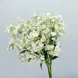 ���㻨���滨 ��֦С�黨�Ҿӻ�Y��cܛ�b�b廨������յ���
