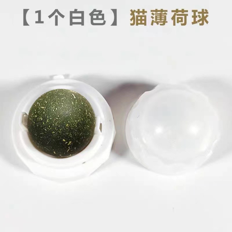 보통 흰색