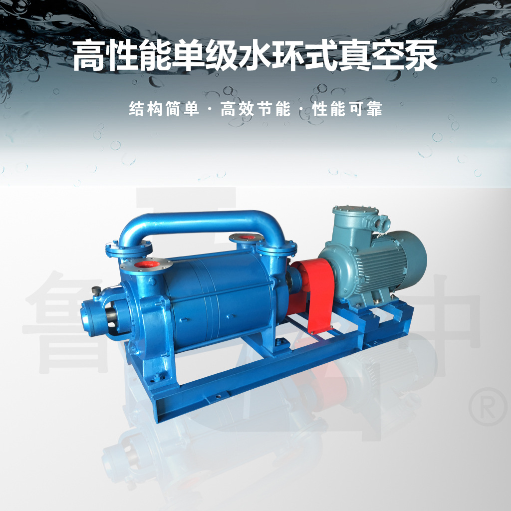 2SK-20 2SK-P1两级水环式真空-大气喷射机组品质保障鲁中牌