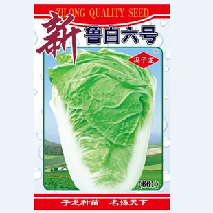 ��ꖹ������߲˷N��������̖��ײ˷N�ӻ�����@�̨����ͥԺ