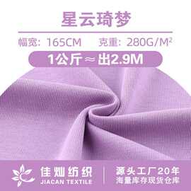 星云琦梦汗布 280g平纹涤棉拉架弹力单面针织布 秋冬服时装布料