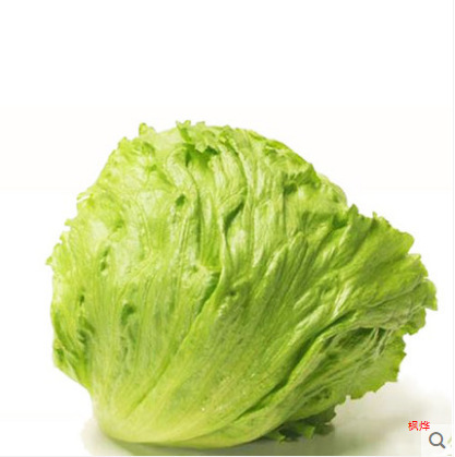 ボールレタス 10kg 送料無料雲南新鮮野菜サラダ材料洋風ハンバーガーラウンドレタスボールタイプ西洋レタス|undefined