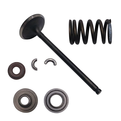Cross-border compatible with Chunfeng 500 ATV, C5 intake valve assembly, KQ-77 (Motorcycle engine and accessories)