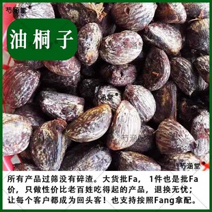 ��ȻҰ��ͩ����ͩ�ӹ���ͩ�ӷN��ͩ�Ә��������ͩ����ș�����l