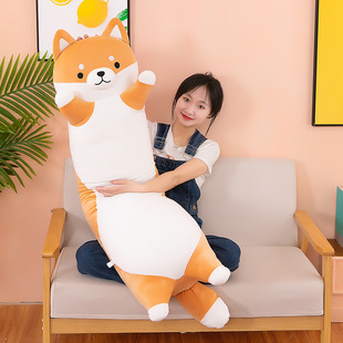 �L�l������ʿ�湫������ë�q�����Ȯ�»���������ż��Ȯ����Ů��
