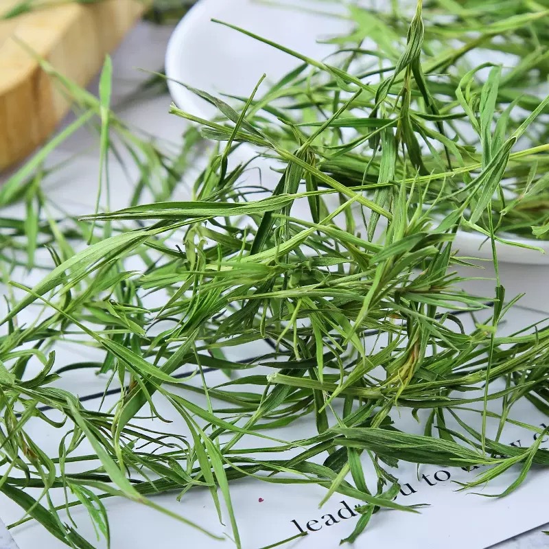 Dried Shizhuye Herbal Tea 500g Chinese Dianthus Leaf Flower Tea for Daily Brewing quality and texture