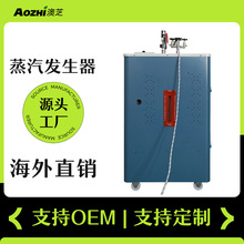 电加热蒸汽发生器304不锈钢内胆工业商用电锅炉搭干洗店熨烫台用