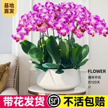 �滨�ؼ������m���Ԏ������p�����绨���껨�҃ȿ͏dǰ̨�r������