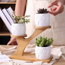 簡約白色創意多肉植物陶瓷貓頭鷹含樹梢竹架zakka組合盆栽花盆