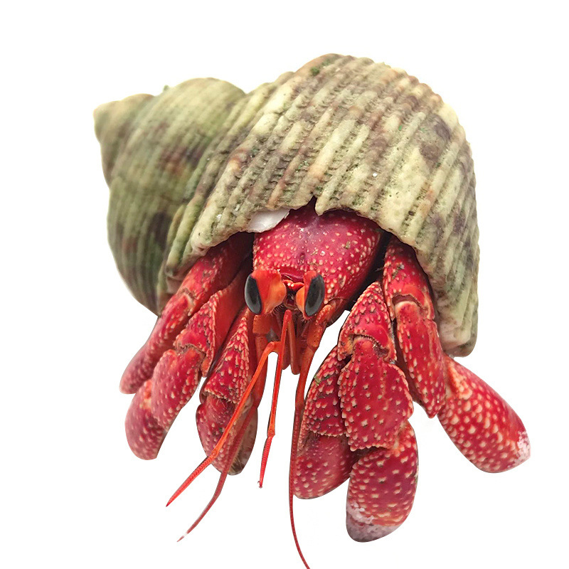 70069a82-a8e8-4656-8b4f-a8393e1a8489.jpe