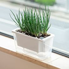 �̨�N����������ͥ�߲��L���������L�l���⻨��۷Nֲ�҃�