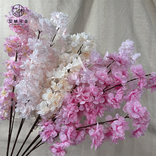 ����ѻ� �󱻸C��c��̨�쾰���bӰҕ���߷���ѻ����������