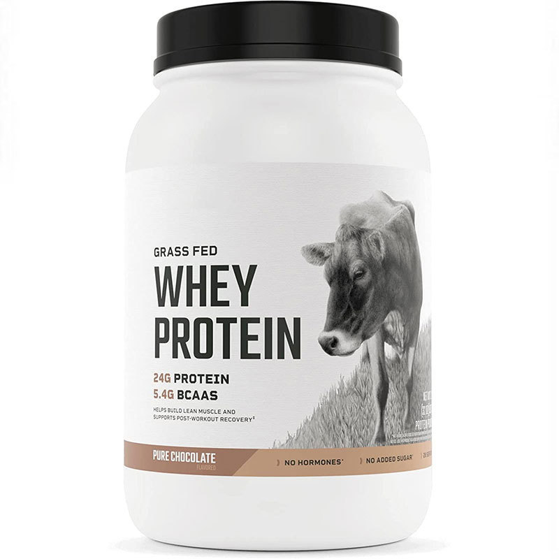 Chocolate whey Protein powder Protein powder Protein powder cross-border processing customization O E M