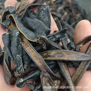 ��ș�����lˮ�� ��ˮ����Сˮ�� Ҏ���Rȫ ����r��ˮ�θ�