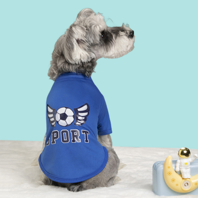 날개 티셔츠-블루