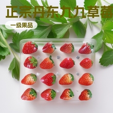 ���|�žŲ�ݮ���l���ھþüt�ݮ�a��ֱ�l���r�^��ˮ�����l