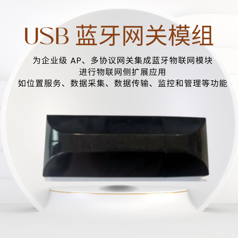 USB 蓝牙网关模组 企业级 AP、多协议网关集成蓝牙物联网模块