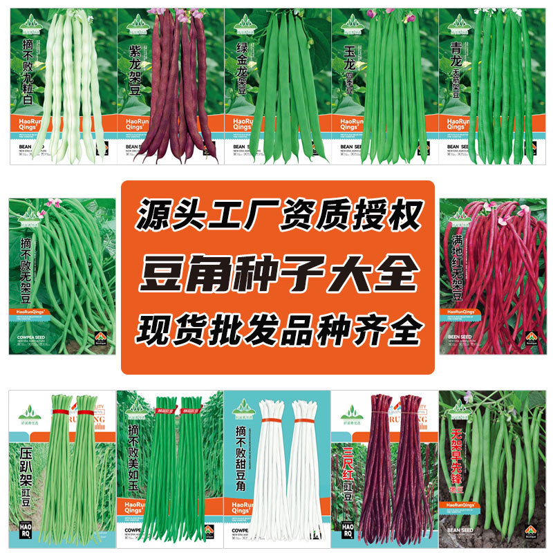 厂家批发豆角种子大全长豇豆无架豆四季豆芸豆种籽春秋季地豆菜籽