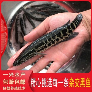 �s�����~�烞�|���~���~�絭ˮ���Bֳؔ�~����k�~�������~�~��