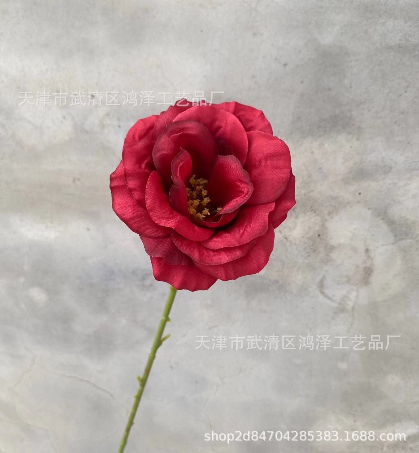 싱글 플래티코돈 그랜드 플로럼