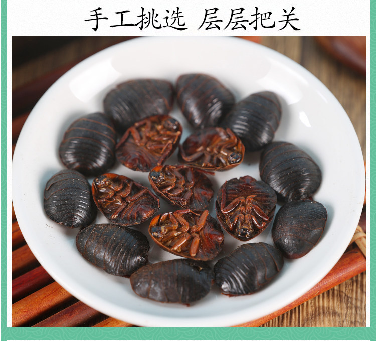 Wild Ground Beetle Tu Bie Chong Dried Whole Insect 500g Traditional Chinese Herb for Decoction and Grinding quality and texture