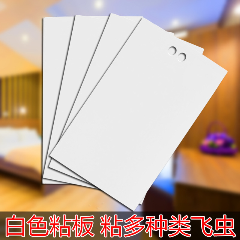 다양한 날아다니는 곤충을 붙이는 양면 특수 접착 흰색 25.15 접착 시트 20장