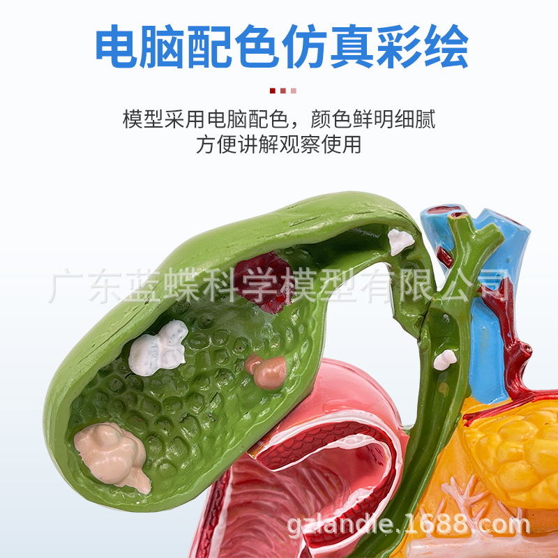 ��ѧ������������ʮ��ָ�����Ҳ���ģ�� ����ʯ�������ϵͳ�̾�