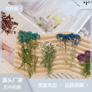 ��ѩ�� ����diy�ֹ����ϰ����z�֙C�����Ϟ�T ���uͨ/���R�d���l