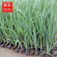 �R�m�������l ͥԺ�G���û��R�m���� С�^�^�pֲ���޸������R�m��