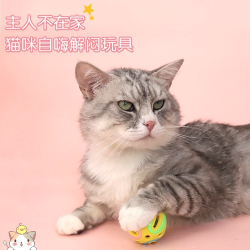 Multicolored Embossed Bell Ball Large Cat Toy, Cat Self-Happy Bell Pet Toy, Colorful Pet Cat Toy