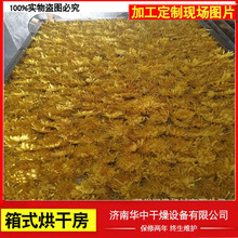 24盘食品蔬菜烘干机箱式 菊花金丝黄菊烘干机20千瓦鲜辣椒烘干机