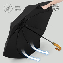 �e������8���p�݌�ľ�����̄Ղ��Ԅ��ۯB�����Y����ǿ��L���