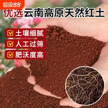 �t��΢�������������FԪ���S���t�����{ݮ�����辰��������