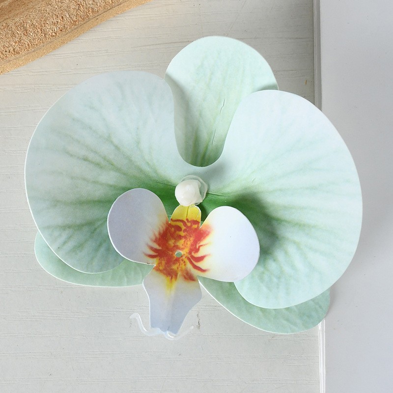 Phim Bohemian Xanh Bạc Hà
