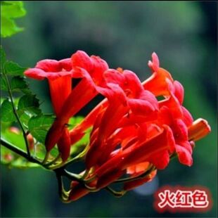 ������ֲ�ﳬ�L�����ļ�ͥԺ�̨�������Ե����ϱ����������A�ͺ�