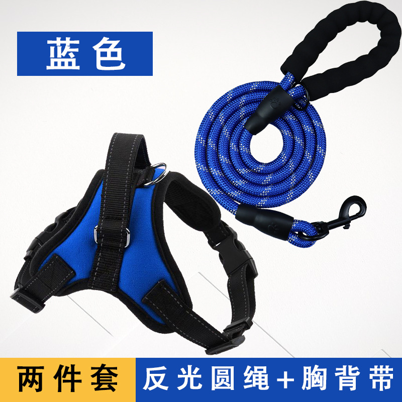 파란색 가슴 스트랩 + 2 m 반사 원형 로프