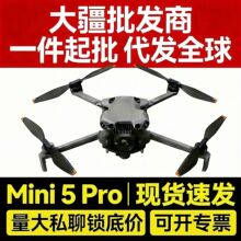 �Թ�ר�� Mini 5 ProһӢ�����㺽�Ļ�ȫ����������ԭװ��Ʒ