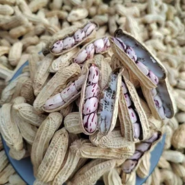 干果生货;生花生