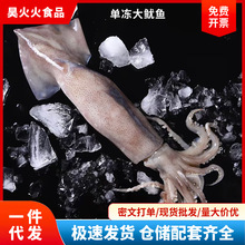 鱿鱼新鲜冷冻大鱿鱼尤鱼整只海捕船冻鱿鱼烧烤铁板商用海鲜水产